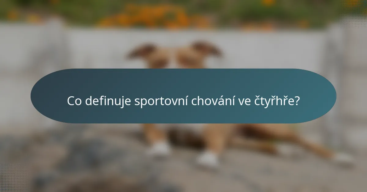 Co definuje sportovní chování ve čtyřhře?