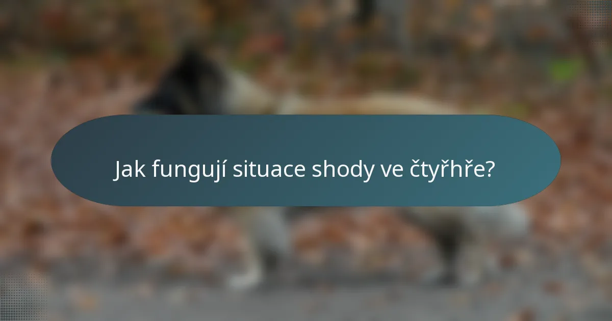 Jak fungují situace shody ve čtyřhře?