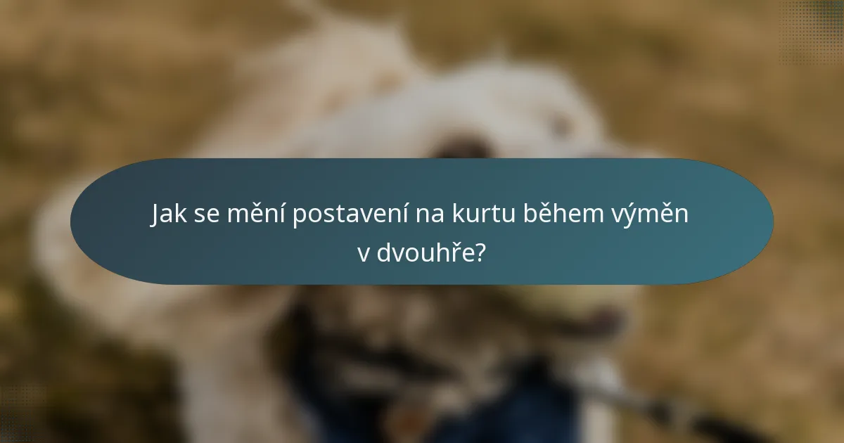 Jak se mění postavení na kurtu během výměn v dvouhře?