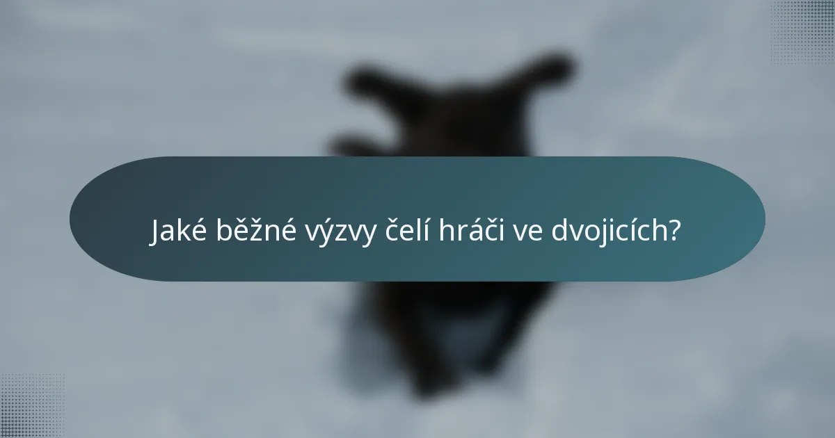 Jaké běžné výzvy čelí hráči ve dvojicích?