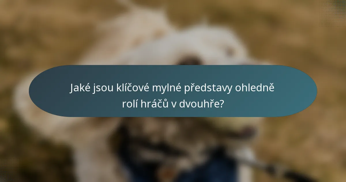 Jaké jsou klíčové mylné představy ohledně rolí hráčů v dvouhře?