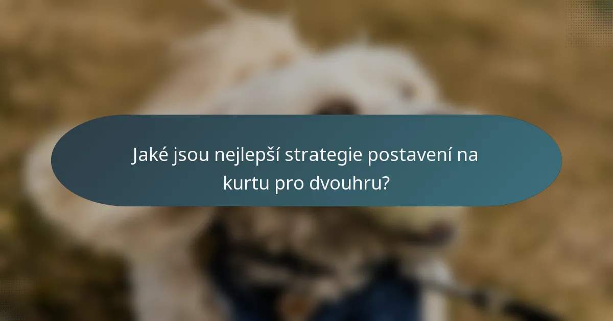 Jaké jsou nejlepší strategie postavení na kurtu pro dvouhru?