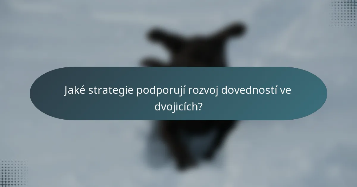 Jaké strategie podporují rozvoj dovedností ve dvojicích?